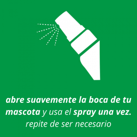 Instrucciones Spray Fresh Breath4